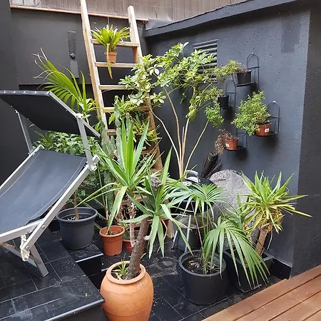 بيت شباب Casa Kessler